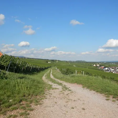 Rheingauer Am Schulhaus Appartement Geisenheim